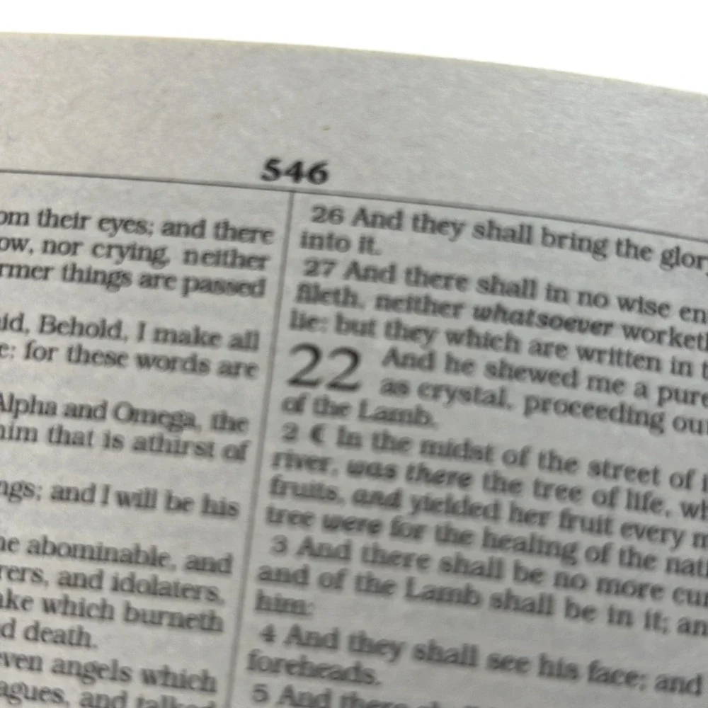 Holy Bible KJV King James Version Religious Old and New Testaments - Picture 10 of 15